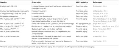 The Aryl Hydrocarbon Receptor (AhR) in the Aging Process: Another Puzzling Role for This Highly Conserved Transcription Factor